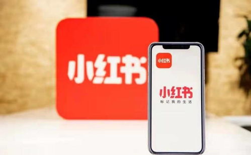 杭州噫融網(wǎng)絡(luò) 以專(zhuān)業(yè)運(yùn)營(yíng)驅(qū)動(dòng)小紅書(shū)種草推廣，助力計(jì)算機(jī)軟硬件品牌搶占市場(chǎng)先機(jī)