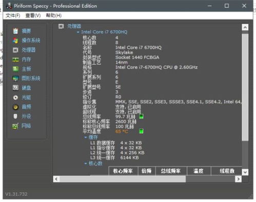 警惕盜版陷阱 解析所謂“Piriform四件套專(zhuān)業(yè)破解便攜版”的風(fēng)險(xiǎn)與替代方案